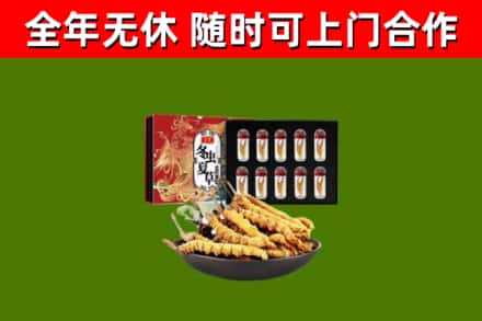 讷河市回收冬虫夏草价格
